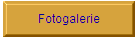 Fotogalerie